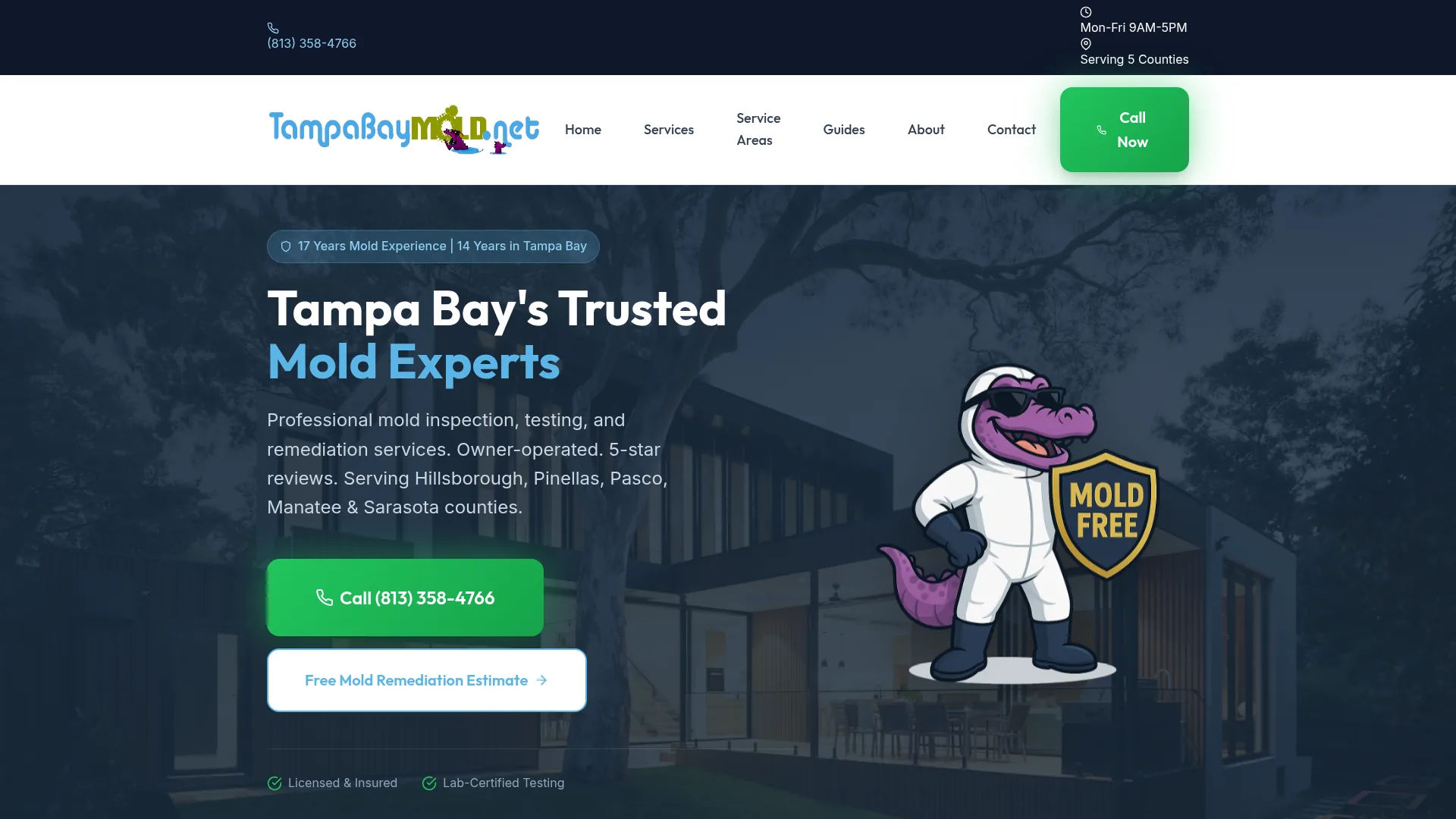 Tampa Bay Mold website screenshot